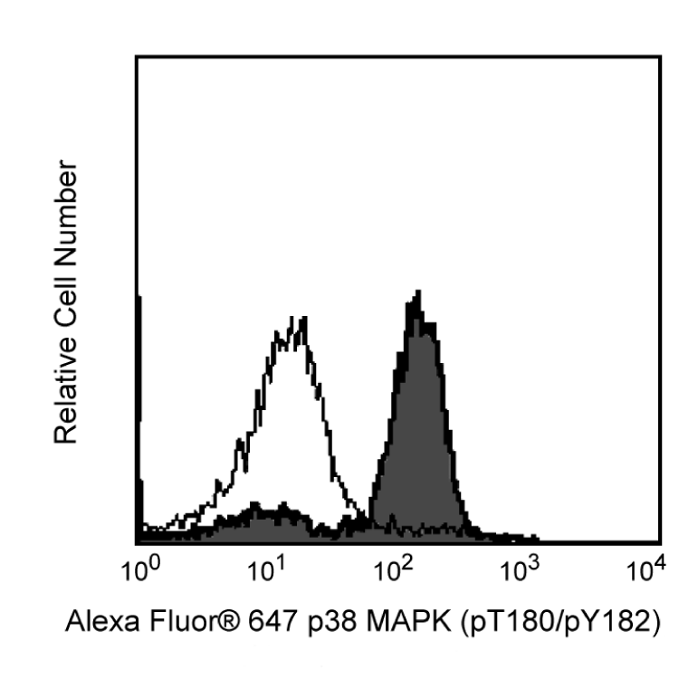 612595_image1.png